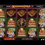 Slot Online Bertema Bajak Laut yang Harus Dicoba